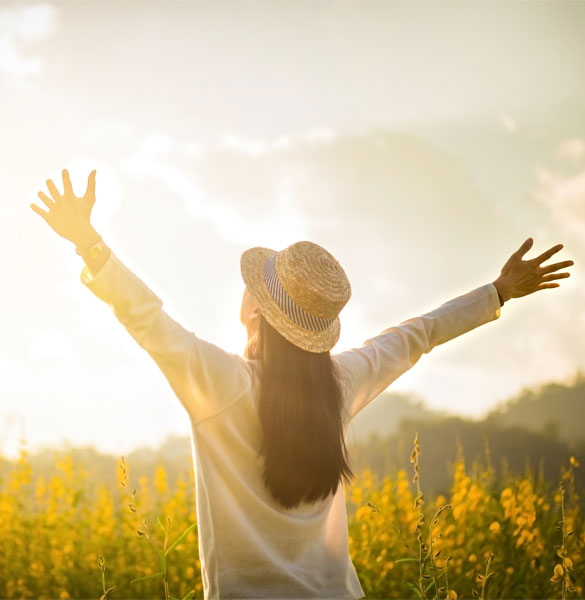 Trauma-Effectiveness-Plan-With-Tonya-Wilhelm-At-Wilhelm-Therapy What-brought